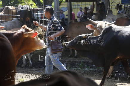 Eid al-Adha preparations in Aceh