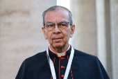 Cardinals arrive in the Vatican for general congregation meetings
