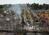 Wildfires burn in the Jerusalem hills, central Israel