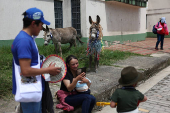 19th Regional Donkey Competition in Moniquira