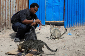 Somali man defies taboo to care for Mogadishu's stray dogs and cats