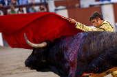 FERIA DE SAN ISIDRO