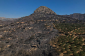 Wildfire burns in Ierapetra on the island of Crete