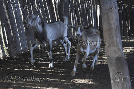 Agropecuaria