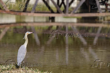 Jardim Botânico de Brasília