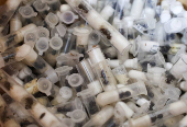Samples of garden ants concealed in syringes are presented to court as two Belgian nationals, a Vietnamese and a Kenyan national appeared for the hearing of their case, in Nairobi