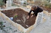 Palestinians visit graves of their relatives at a cemetery in Jenin camp