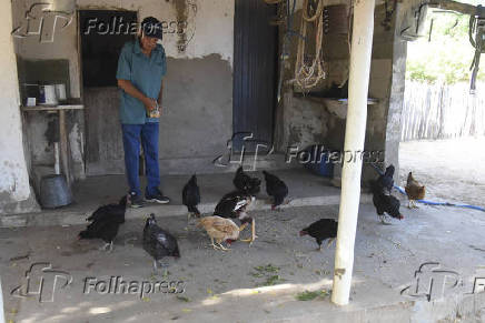 Agropecuaria