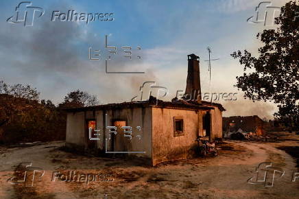 Forest fire breaks out in Fornos de Algodres