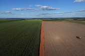 Soybean harvest in Paraguay