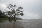 AMAZONAS, CHEIA DO RIO SOLIMOES