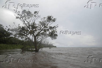 AMAZONAS, CHEIA DO RIO SOLIMOES