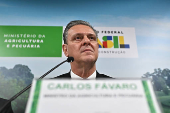 Brasil cree que en dos semanas volverá a estar libre de la gripe aviar