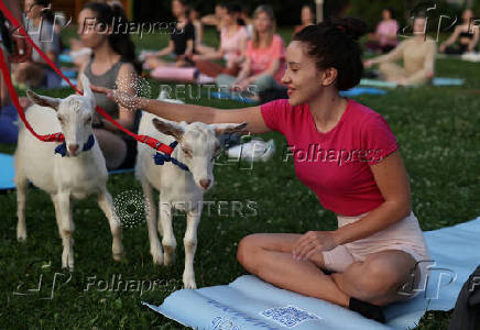 People practice yoga with baby goats in Moscow