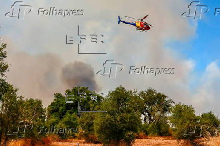 Forest fire in Portuguese municipality of Penamacor