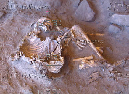 El ADN antiguo revela quienes fueron los primeros pastores neolíticos del 'Sáhara Verde'