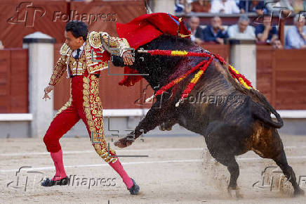 FERIA DE SAN ISIDRO