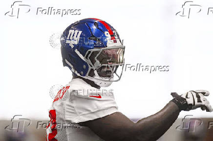 NFL: New York Giants Minicamp