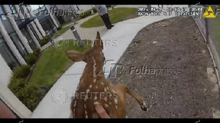 Fawn caught on camera trying to break into Coweta County jail, in Georgia