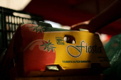 U.S. duties on Mexican tomato imports