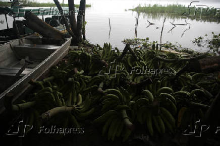 AMAZONAS, CHEIA DO RIO SOLIMOES