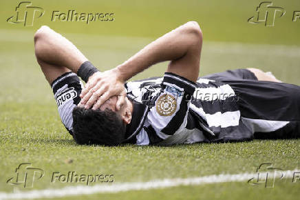 Palmeiras x Botafogo