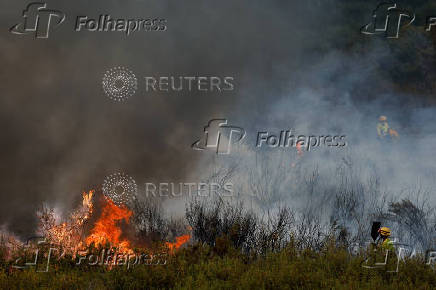 Wildfire on the outskirts of Abejera de Tabara