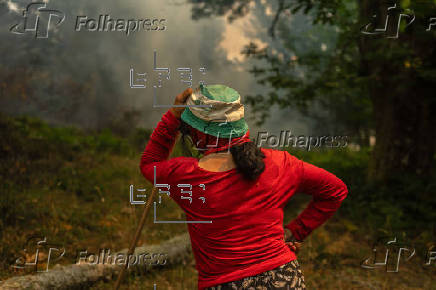 Incendio forestal en A Pobra de Trives