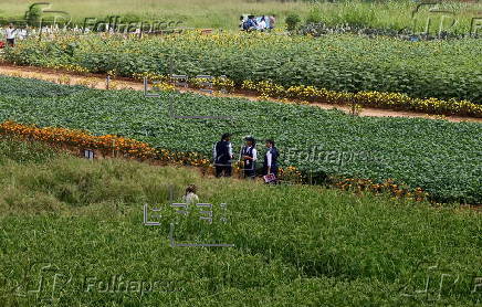 Krishi Mela 2025 in Bangalore