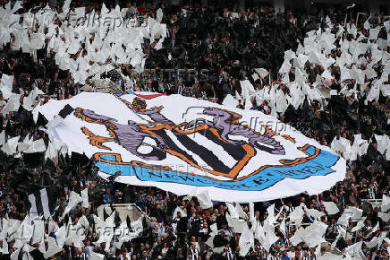 Premier League - Newcastle United v Everton