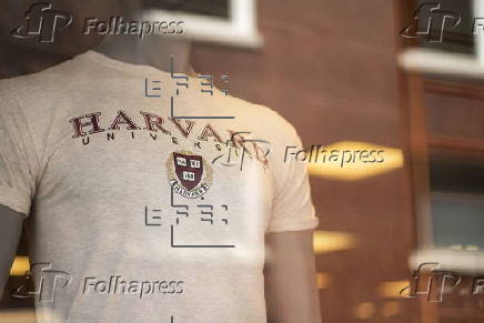 Harvard University Campus in Cambridge Massachusetts