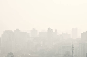 Climatempo em São Paulo nevoeiro