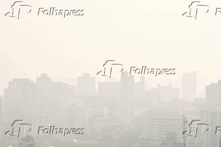 Climatempo em São Paulo nevoeiro