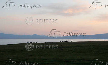 International equestrian race held in Kyrgyzstan