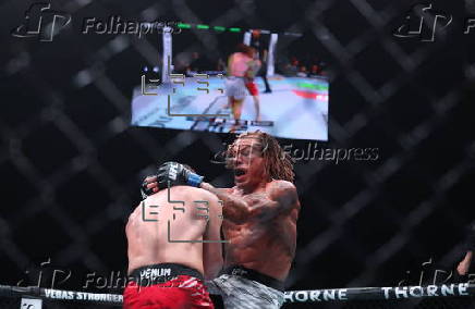 UFC Fight Night 193 in Abu Dhabi