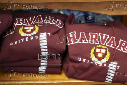 Harvard University Campus in Cambridge Massachusetts