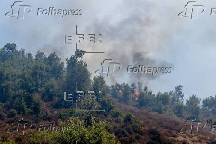 Wildfires break out in Morocco