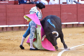 Corrida de la Feria del Caballo de Jerez