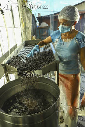 Frutos do açaí sendo lavados em fábrica em Boa Vista (RR)