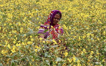 Krishi Mela 2025 in Bangalore