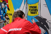 Greenpeace paints mural outside South Korea Embassy