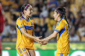 Liga MX Femenil: Tigres - Necaxa