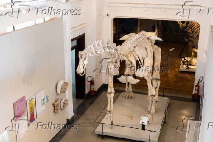 Museu de Zoologia da USP