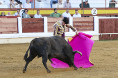 Corrida de toros mixta en Mérida