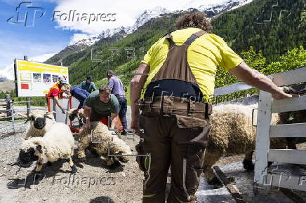 Swiss village buried after collapse of glacier