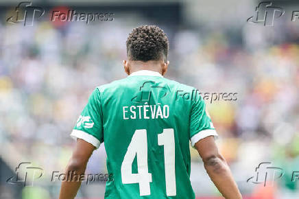 Partida entre Palmeiras e Botafogo no Mundial de Clubes da fifa