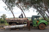 Timber exploitation in Nigeria's Kwara State