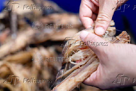 Nelson Yang, founder and general manager of Farm to Material, shows fibers from banana pseudostems at his facility