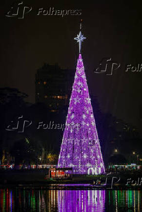 Inauguração da árvore de Natal do parque Ibirapuera