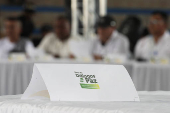 Gobierno colombiano acuerda zonas de ubicación temporal con otra disidencia de las FARC